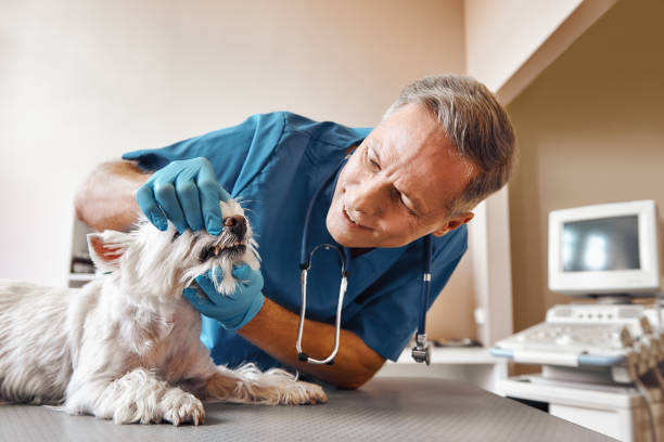Best Emergency Care for Gum Disease in Uvalde, TX